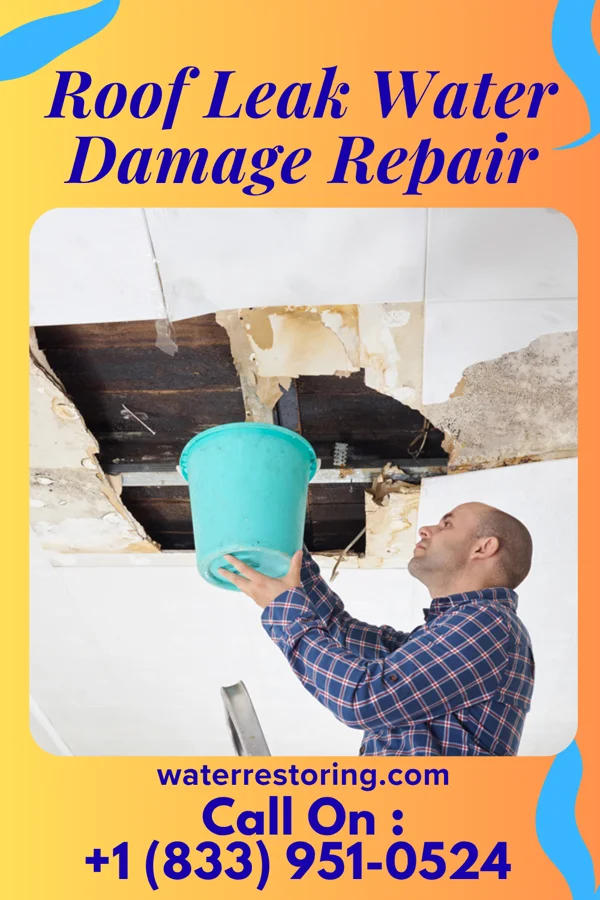 Roof Leak Water Damage Repair in Pacific, WA